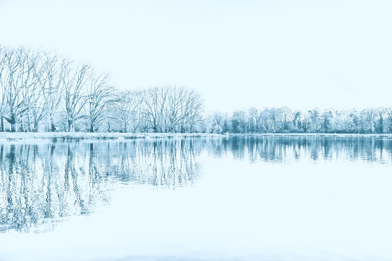 Welches Bild gefällt Ihnen am besten?