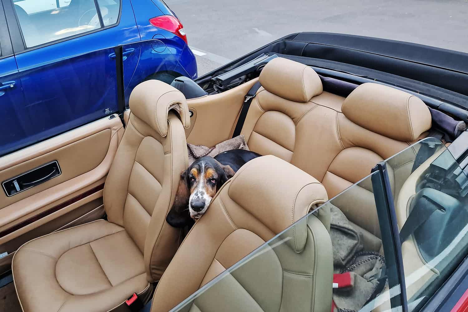 Welches Bild gefällt Ihnen am besten?